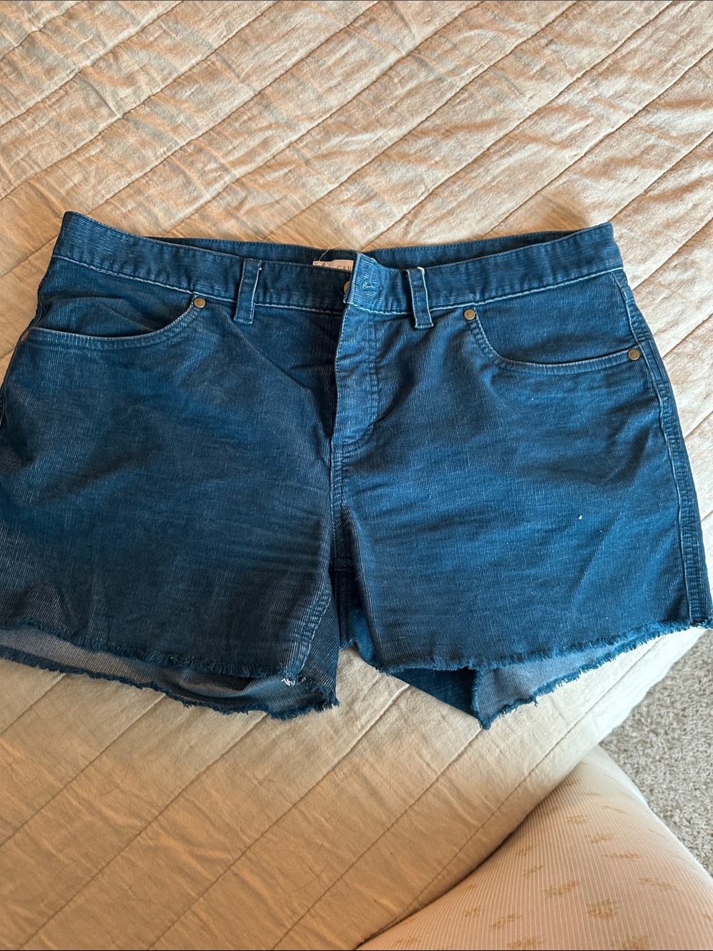 Carve Designs Indigo Blue Denim Cutoff Shorts